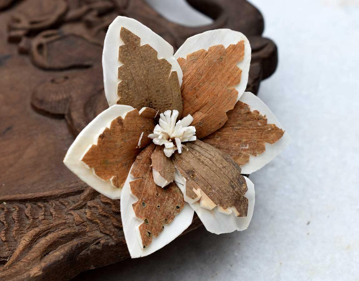 Sky Star Sola Wood Skin Flower
