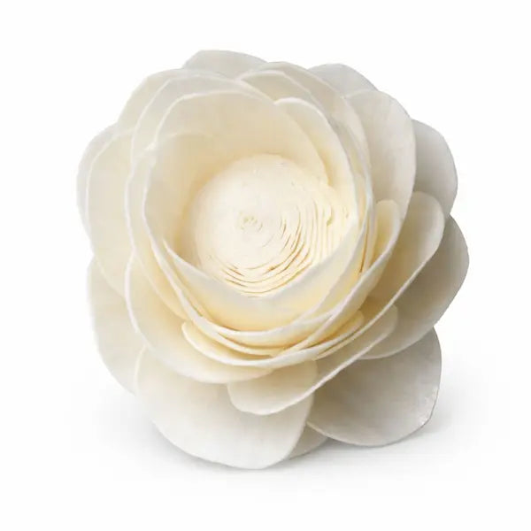Sola Lotus Flower