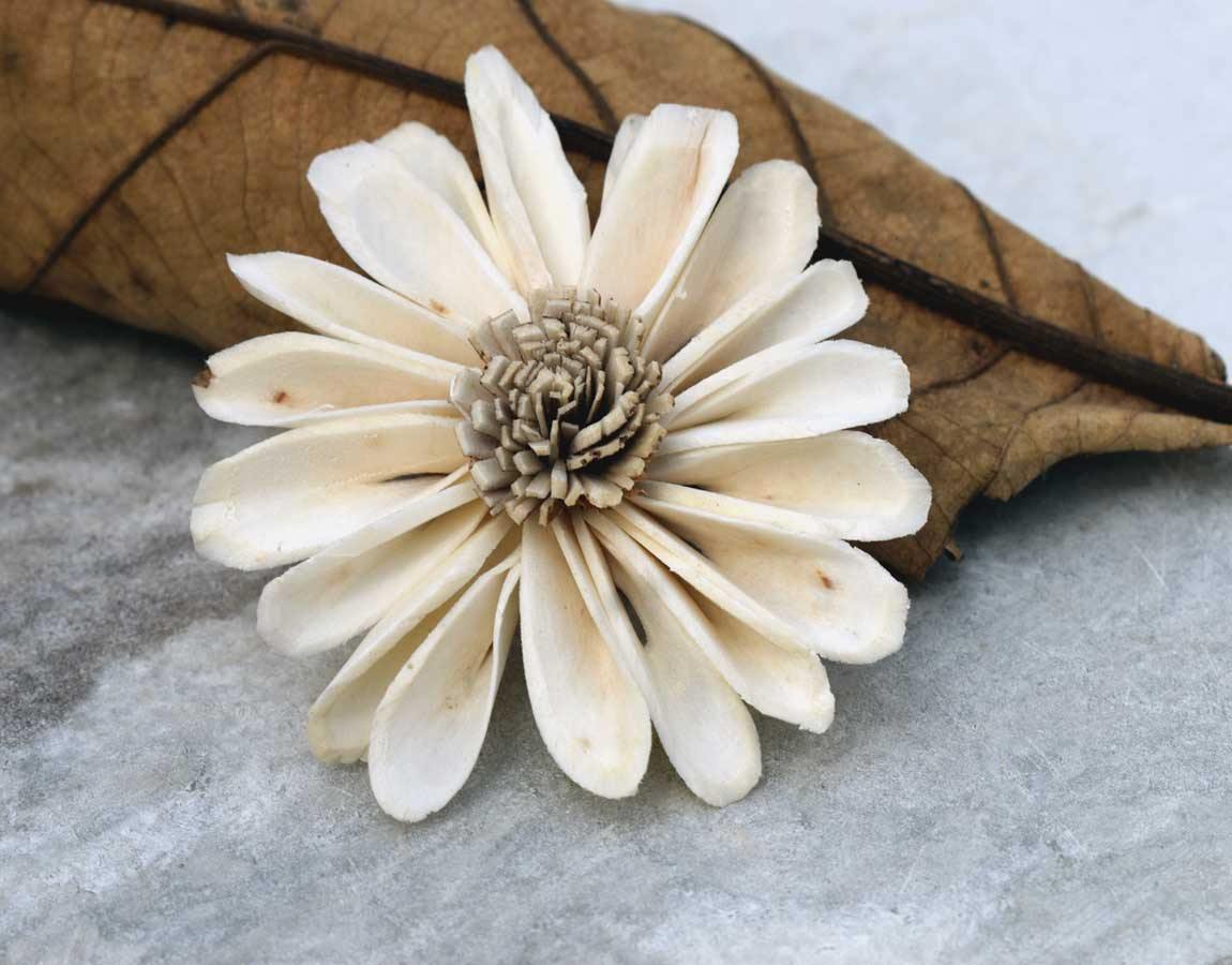 Sunflower Sola Wood Flower