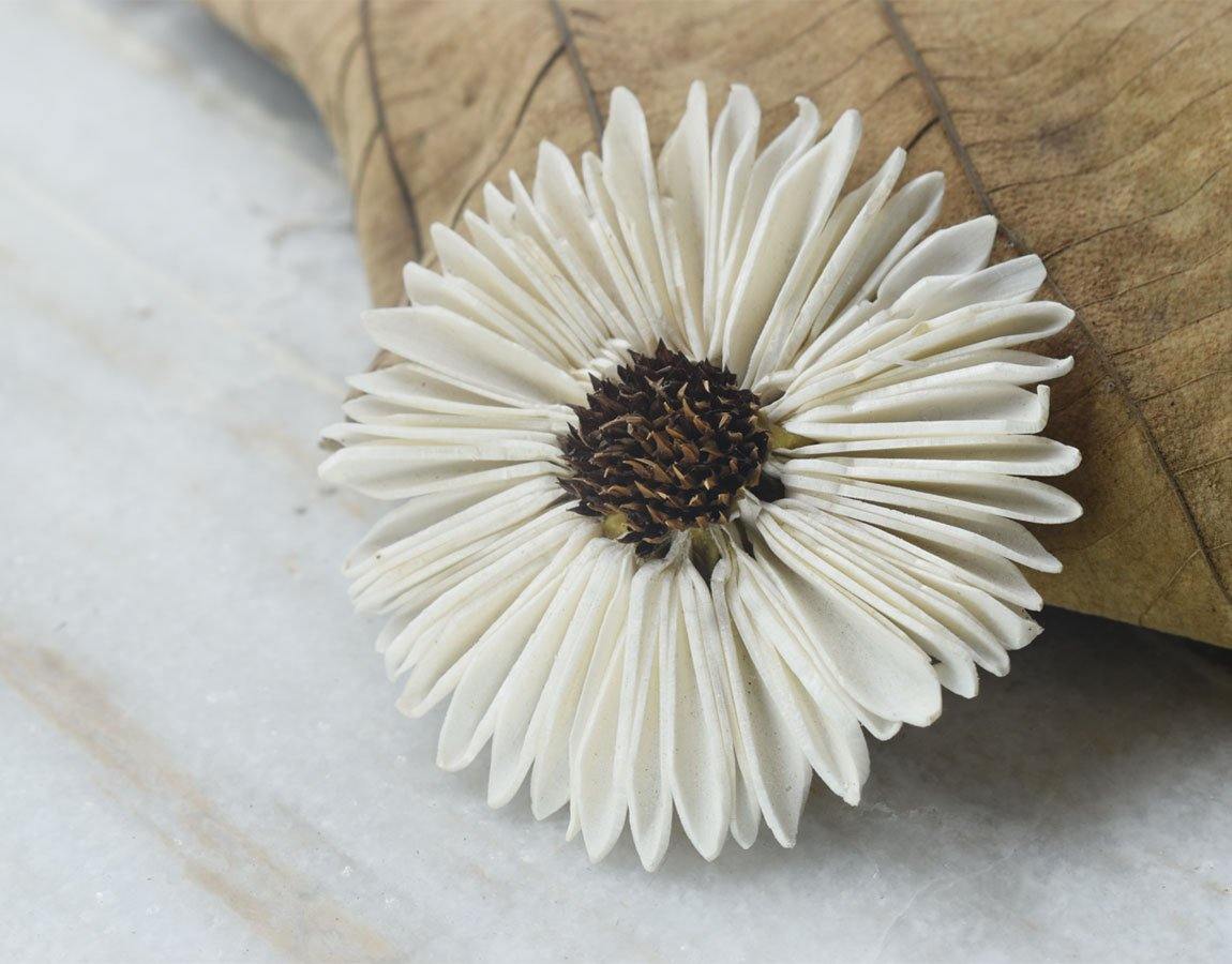Sunflower Daisy Sola Wood Flower