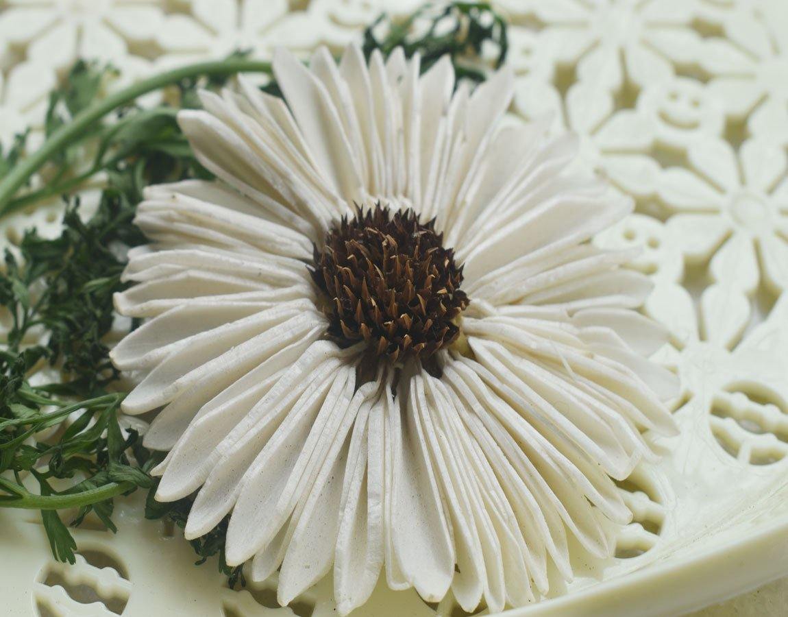 Sunflower Daisy Sola Wood Flower