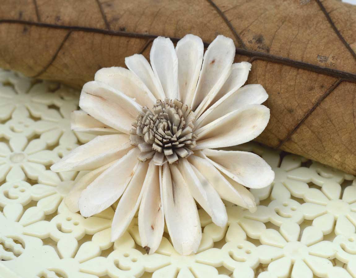 Sunflower Sola Wood Flower