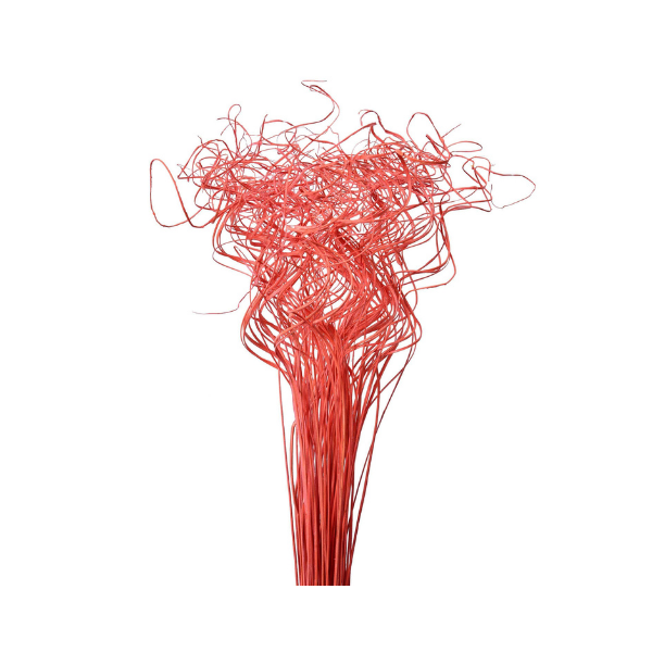 Curly Ting Ting Decoration Stick Filler