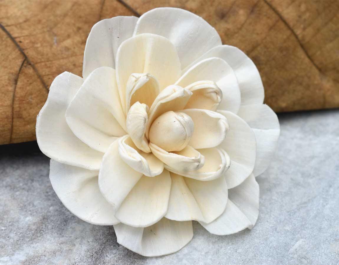 Vanila Sky Sola Wood Flower