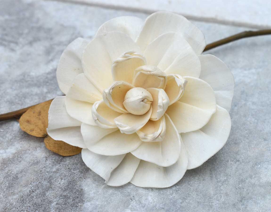 Vanila Sky Sola Wood Flower