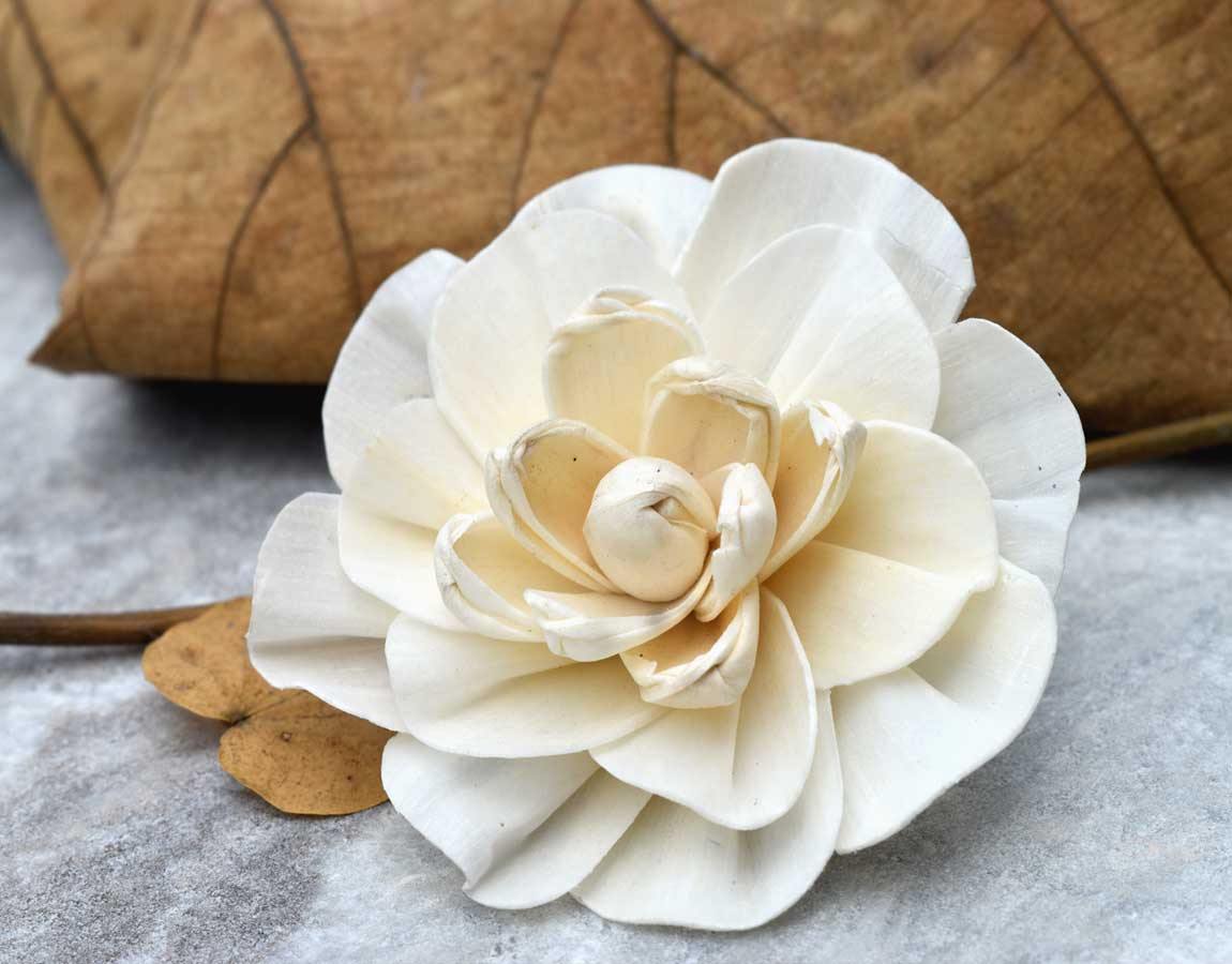Vanila Sky Sola Wood Flower