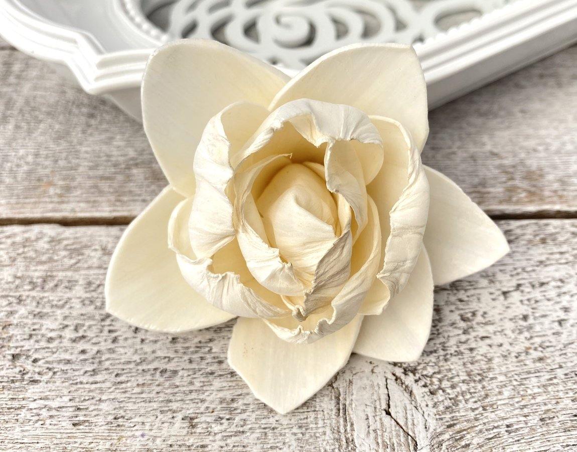 White Pearl Sola Wood Flower